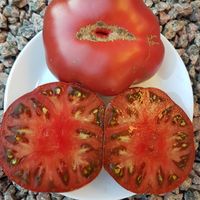 Chornyj Granat, Svart Granatäpple